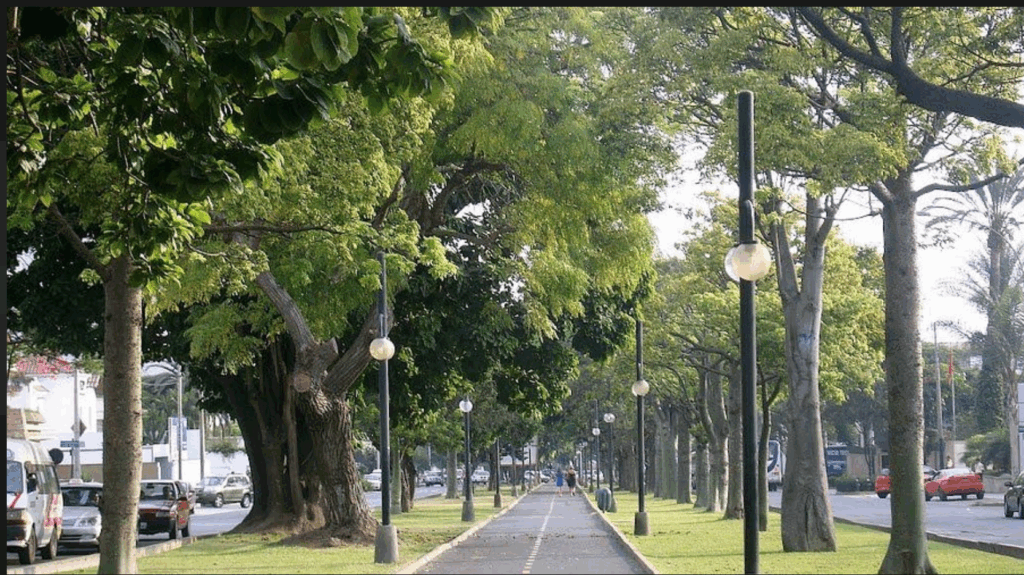 Student Housing in Lima, Peru